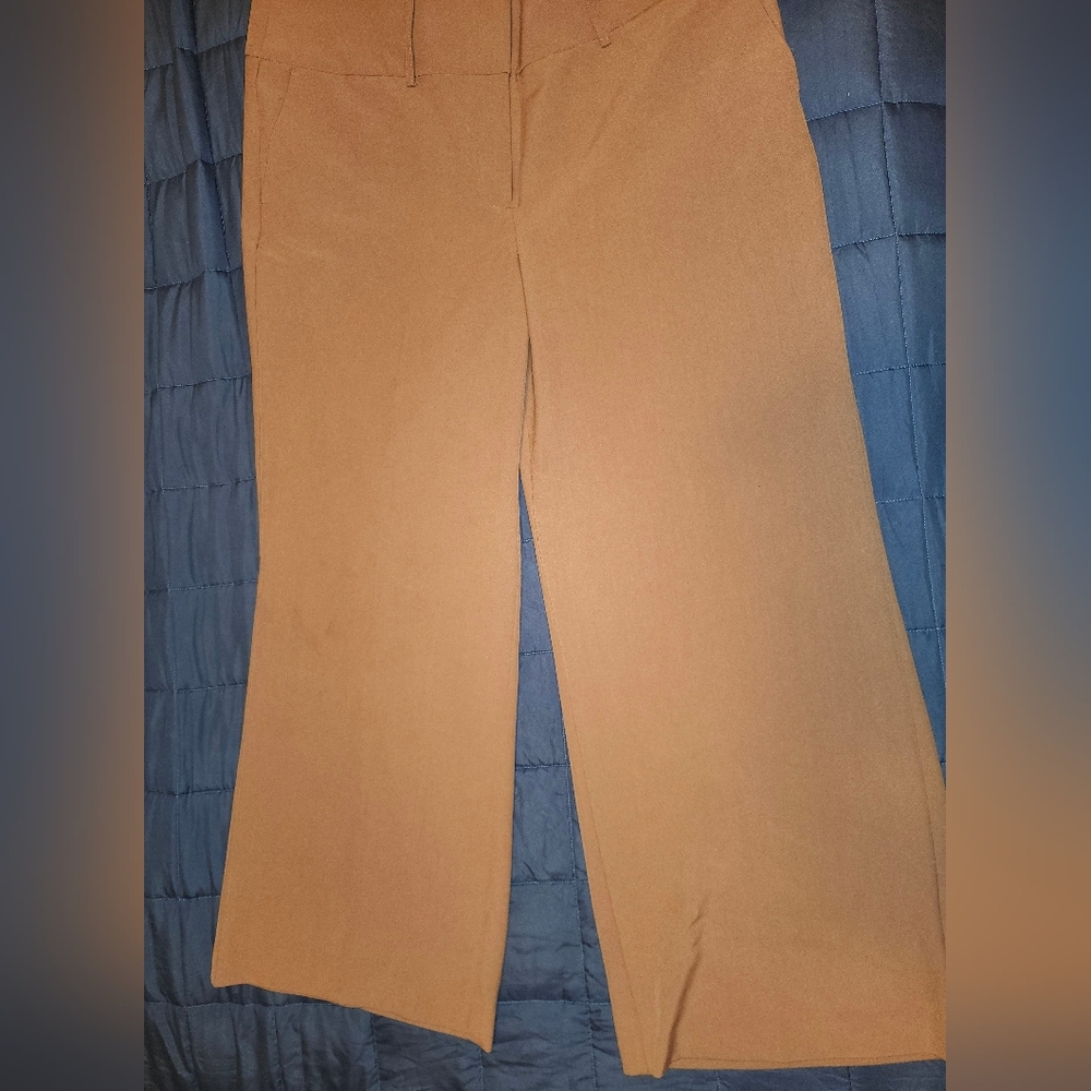 Lane Bryant Extra Wide Leg Trousers Size 18